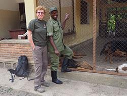 Hunde helfen bei der Rettung von Berggorillas und Elefanten